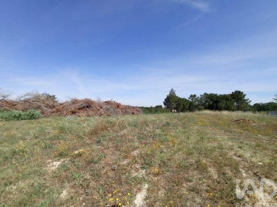 /international/pt/santarem-santarem-310103513967/