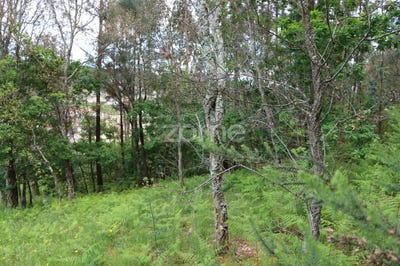 /international/pt/oliveira-de-azemeis-aveiro-310099970190/?lang=zh-tw