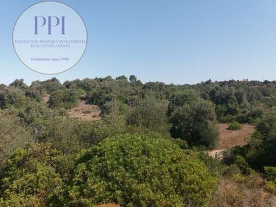 /international/pt/vila-do-bispo-faro-310101387896/
