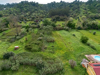 /international/pt/arneiro-das-milharicas-santarem-310102342846/