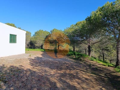 /international/pt/castro-marim-faro-310100660732/