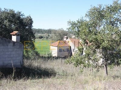 /international/pt/pombal-leiria-310104007557/