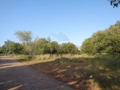 /international/pt/loule-faro-310108283262/