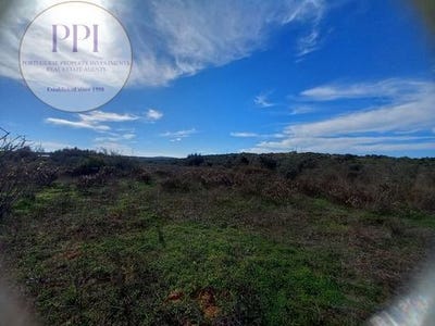 /international/pt/vila-do-bispo-faro-310101388056/