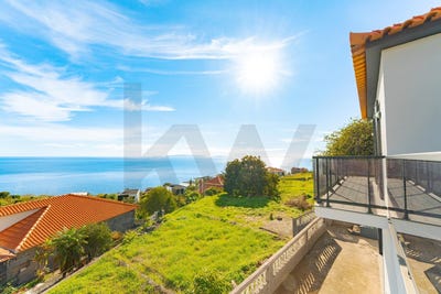 /international/pt/gaula-madeira-310104190480/