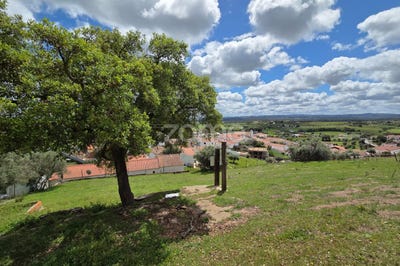 /international/pt/ourique-beja-310099117325/