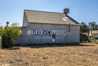 /international/pt/amor-leiria-leiria-310108967708/