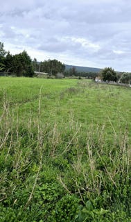 /international/pt/valado-dos-frades-leiria-310098218572/
