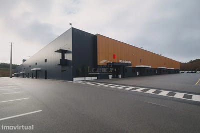 /international/pt/raiva-coimbra-310109075740/