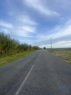 /international/pt/santarem-santarem-310101336863/?lang=zh-tw