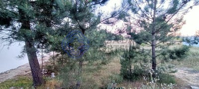 /international/pt/pinhal-novo-setubal-municipality-310107792764/?lang=de