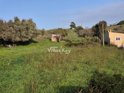 /international/pt/budens-faro-310105335874/