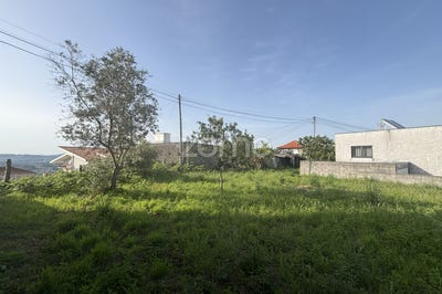 /international/pt/amarante-porto-310108245563/