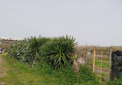 /international/pt/vale-mourelos-sobreda-portugal-laranjeiro-e-feijo-setubal-municipality-310106400203/?lang=it