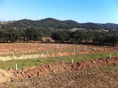 /international/pt/colos-beja-120092265163/