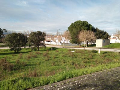 /international/pt/nossa-senhora-de-fatima-lisbon-310098115957/