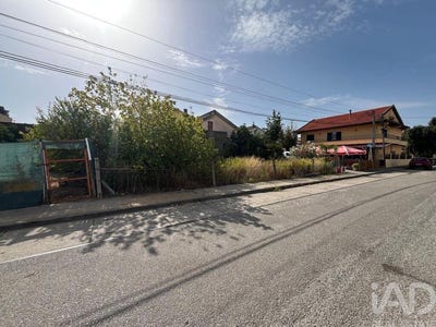 /international/pt/setubal-setubal-municipality-310102641905/