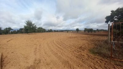 /international/pt/tapada-nova-lardosa-castelo-branco-310105251023/