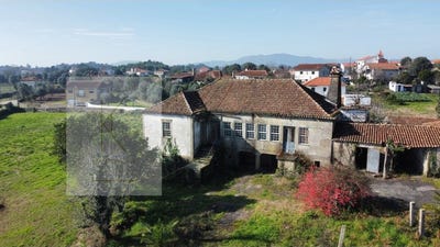 /international/pt/fontao-viana-do-castelo-310101079162/