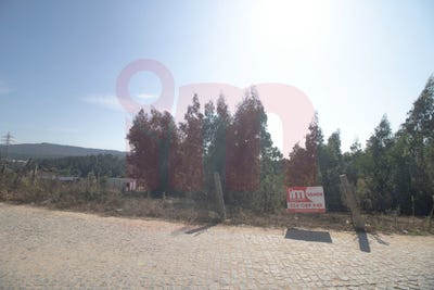 /international/pt/barcelos-braga-310103041534/