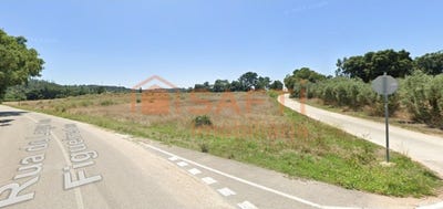 /international/pt/asseiceira-santarem-310105399543/