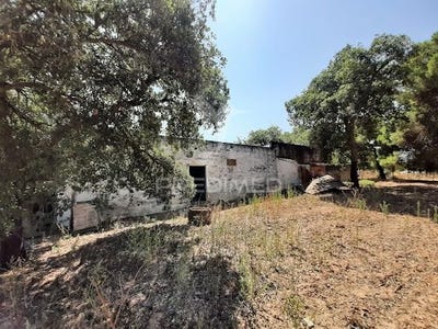 /international/pt/torrao-alcacer-do-sal-setubal-municipality-120082617364/