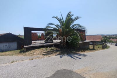 /international/pt/soure-coimbra-310109018409/