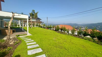 /international/pt/castelo-de-paiva-aveiro-310107703962/