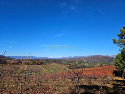 /international/pt/vergadas-castelejo-santarem-310105250639/