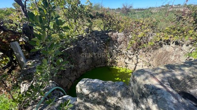 /international/pt/fonte-moreira-escalos-de-cima-castelo-branco-310105251894/
