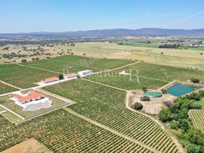 /international/pt/redondo-evora-310108652231/?lang=id