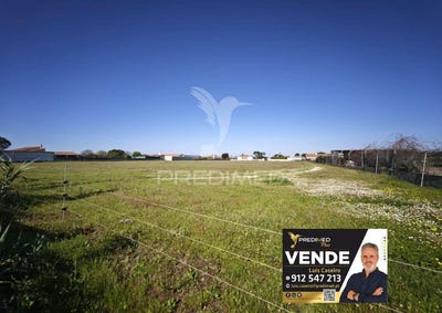 /international/pt/benavente-benavente-santarem-310106795160/