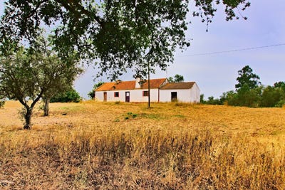 /international/pt/monte-do-pinhal-vale-de-agua-15-santiago-do-cacem-setubal-municipality-310109148160/