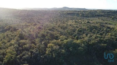 /international/pt/ferreira-do-zezere-santarem-120096359992/