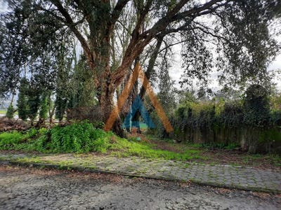 /international/pt/vila-de-cucujaes-aveiro-310101155660/?lang=zh-tw