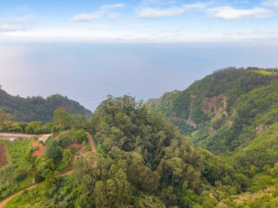/international/pt/caminho-do-serrado-santana-portugal-ilha-da-madeira-madeira-310107237758/