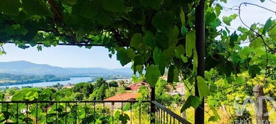 /international/pt/viana-do-castelo-viana-do-castelo-310105944645/