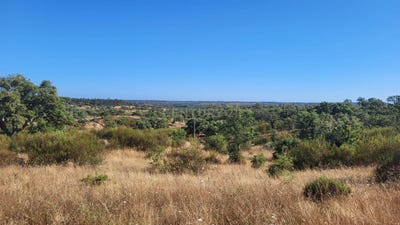 /international/pt/santiago-do-cacem-setubal-municipality-310094284021/