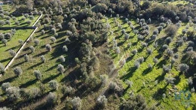 /international/pt/ferreira-do-zezere-santarem-120096360236/