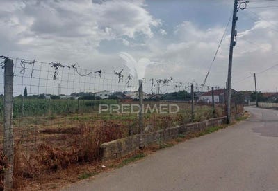 /international/pt/oia-oliveira-do-bairro-aveiro-310105402979/