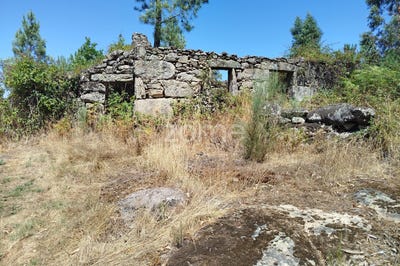 /international/pt/mangualde-viseu-310101471157/?lang=zh-tw