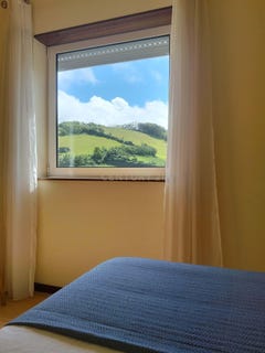 /international/pt/rua-duarte-borges-54-sao-roque-portugal-ilha-de-sao-miguel-azores-310109045915/
