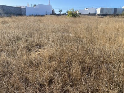 /international/pt/montenegro-faro-310101082895/?lang=es