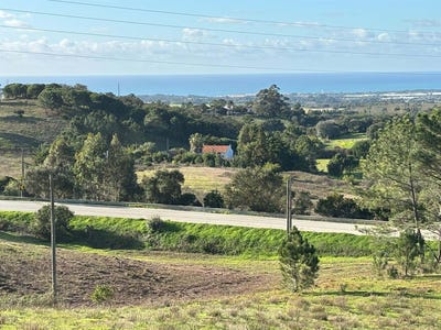 /international/pt/sao-teotonio-beja-310105103142/