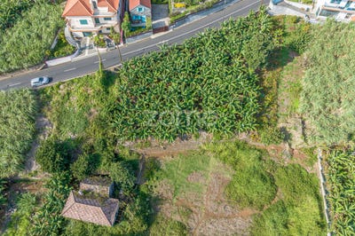 /international/pt/ponta-do-sol-madeira-120088465101/