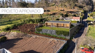 /international/pt/faja-da-ovelha-madeira-310107643395/