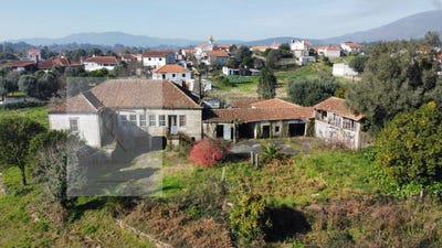 /international/pt/fontao-viana-do-castelo-310101079162/