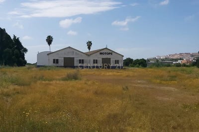 /international/pt/r-agro-alimentares-6-7800-252-beja-portugal-serpa-salvador-e-santa-maria-beja-district-310104286653/