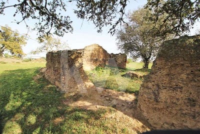 /international/pt/ourique-beja-120093122255/