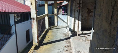 /international/pt/ervededo-vila-real-310100663565/